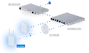 télécharger (4).webp