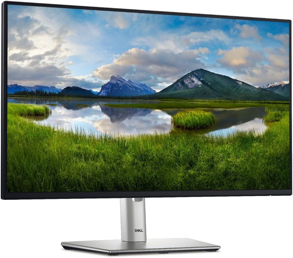 Dell Pro 24 Plus | Écran 24" QHD (2K) avec hub USB-C | Connectivité avancée | P2425DE